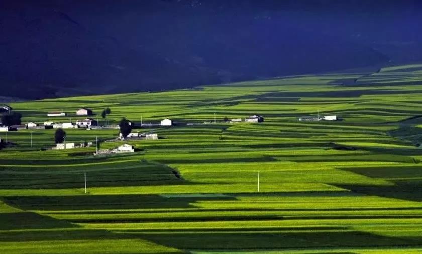 【農(nóng)業(yè)政策資訊】中央財(cái)政助農(nóng)業(yè)綠色發(fā)展，這才是未來(lái)農(nóng)業(yè)發(fā)展方向！