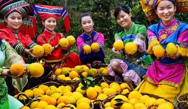 【每周優(yōu)品】一不小心就愛上了它，想不到你是這樣的德保臍橙?。。?></a></div>
    <div   id=