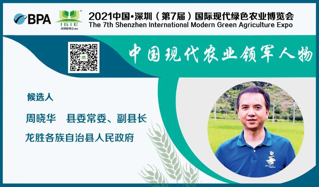 【現(xiàn)代農(nóng)業(yè)領(lǐng)軍人物】周曉華——推介龍勝縣名特優(yōu)農(nóng)產(chǎn)品，促進消費幫扶