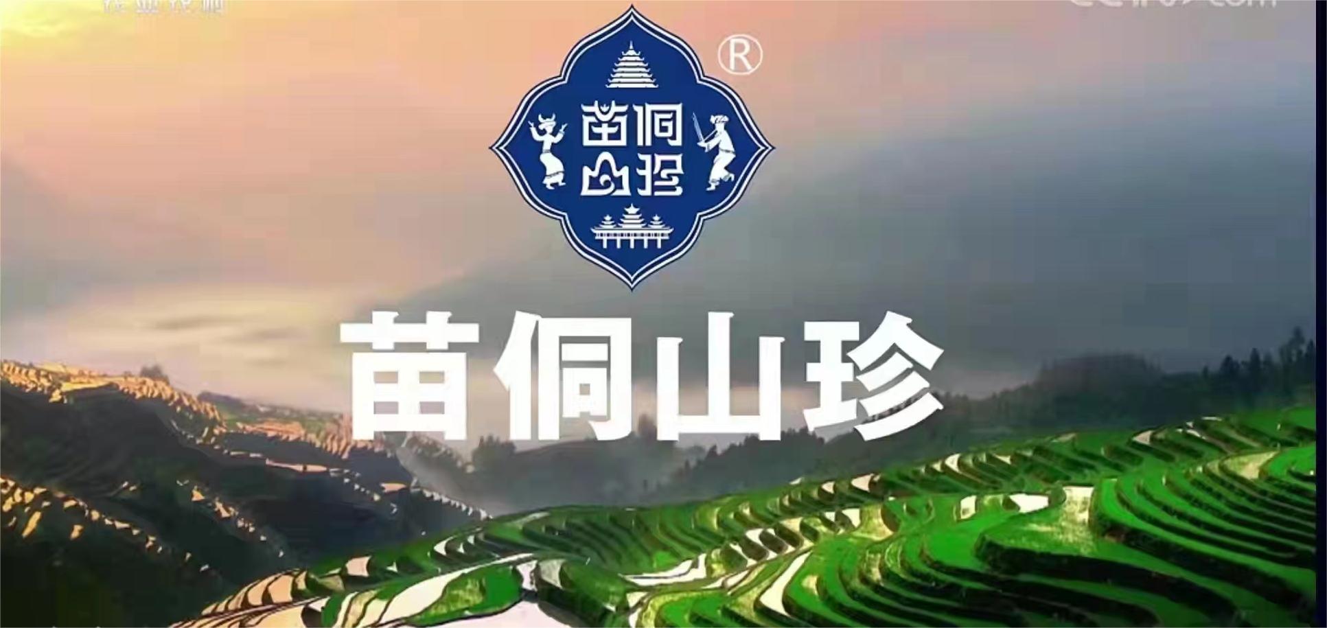 【每周優(yōu)品】走進貴州茶山，了解貴州原生態(tài)綠茶！