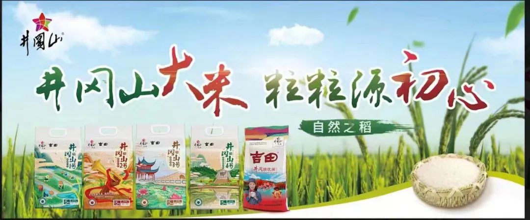 【每周優(yōu)品】在珍稀紅粘沙土中生長(zhǎng)，以山泉水灌溉，質(zhì)地雪白明亮，口感香甜松軟的井岡山大米