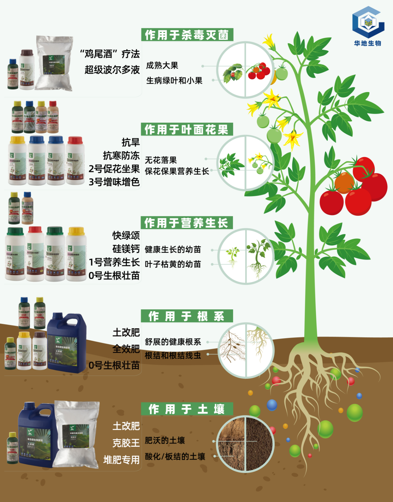 【展商風采】服務中華大地，造福億萬農(nóng)民——華地微生物菌肥