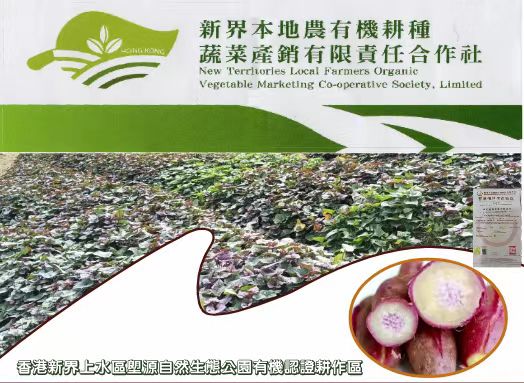 【每周優(yōu)品】香港本地紅薯——好吃不貴，營養(yǎng)豐富！